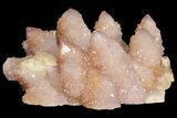 Cactus Quartz (Amethyst) Cluster - South Africa #94324-3